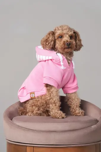 Kapüşonlu & Köpek Sweatshirtler