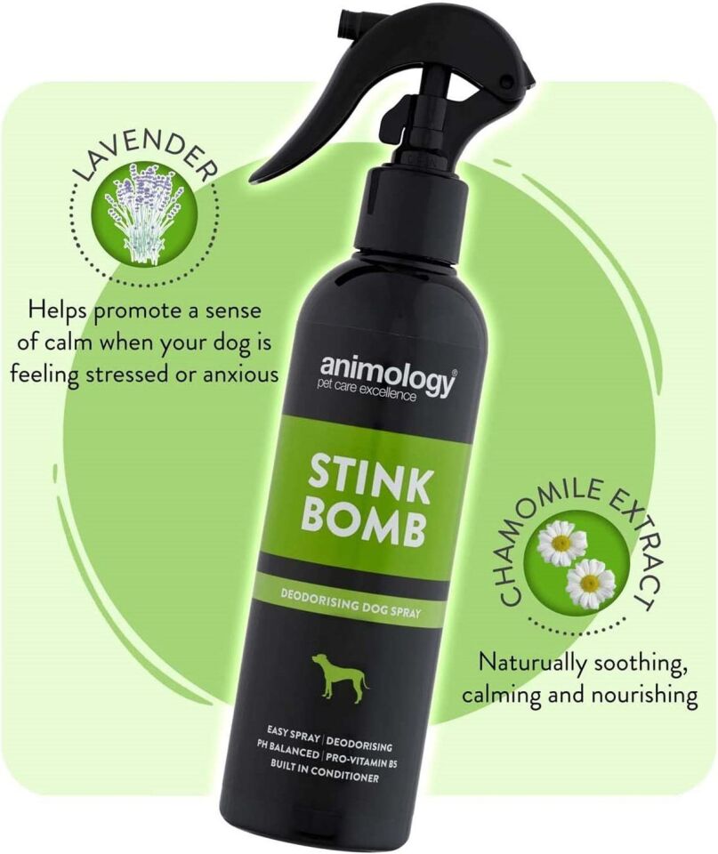 Animology Stink Bomb Spray Kötü Koku Giderici Köpek Bakım Spreyi 250 ML