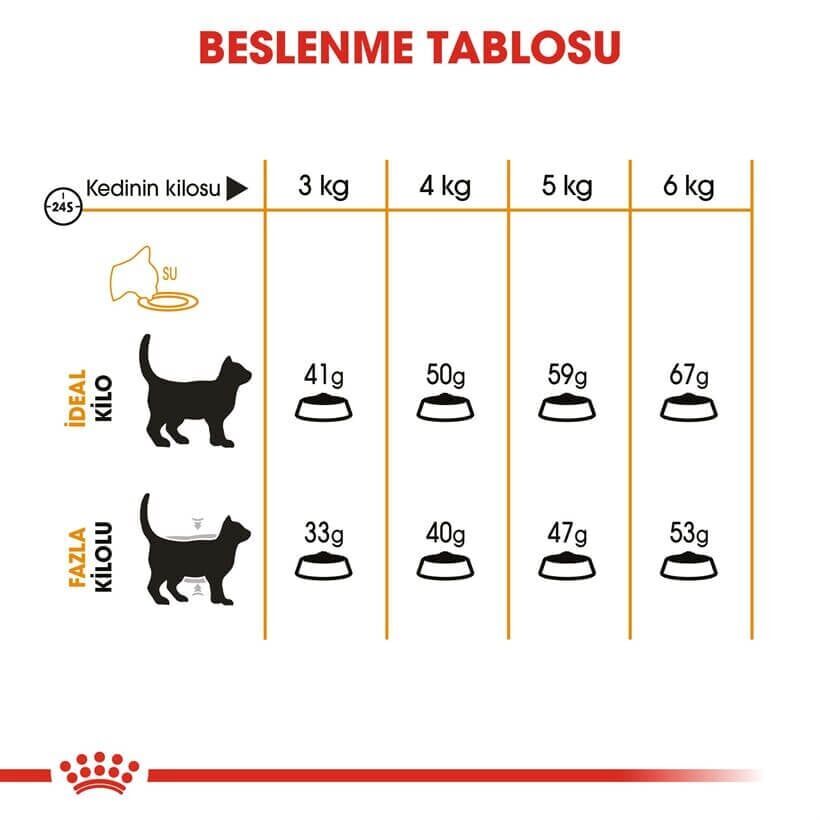 Royal Canin Persian Adult Kuru Kedi Maması 2 Kg