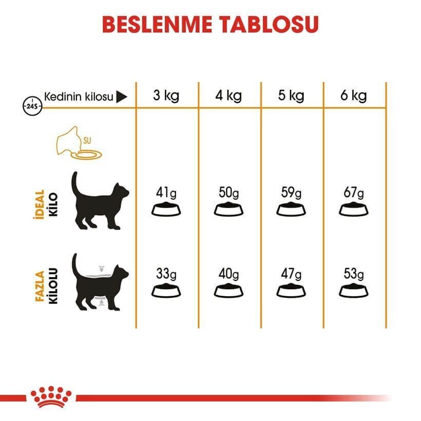 Royal Canin Persian Adult Kuru Kedi Maması 4 kg