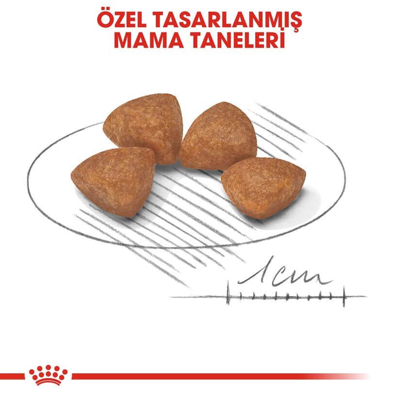 Royal Canin Xsmall Puppy Yavru Köpek Maması 3 Kg