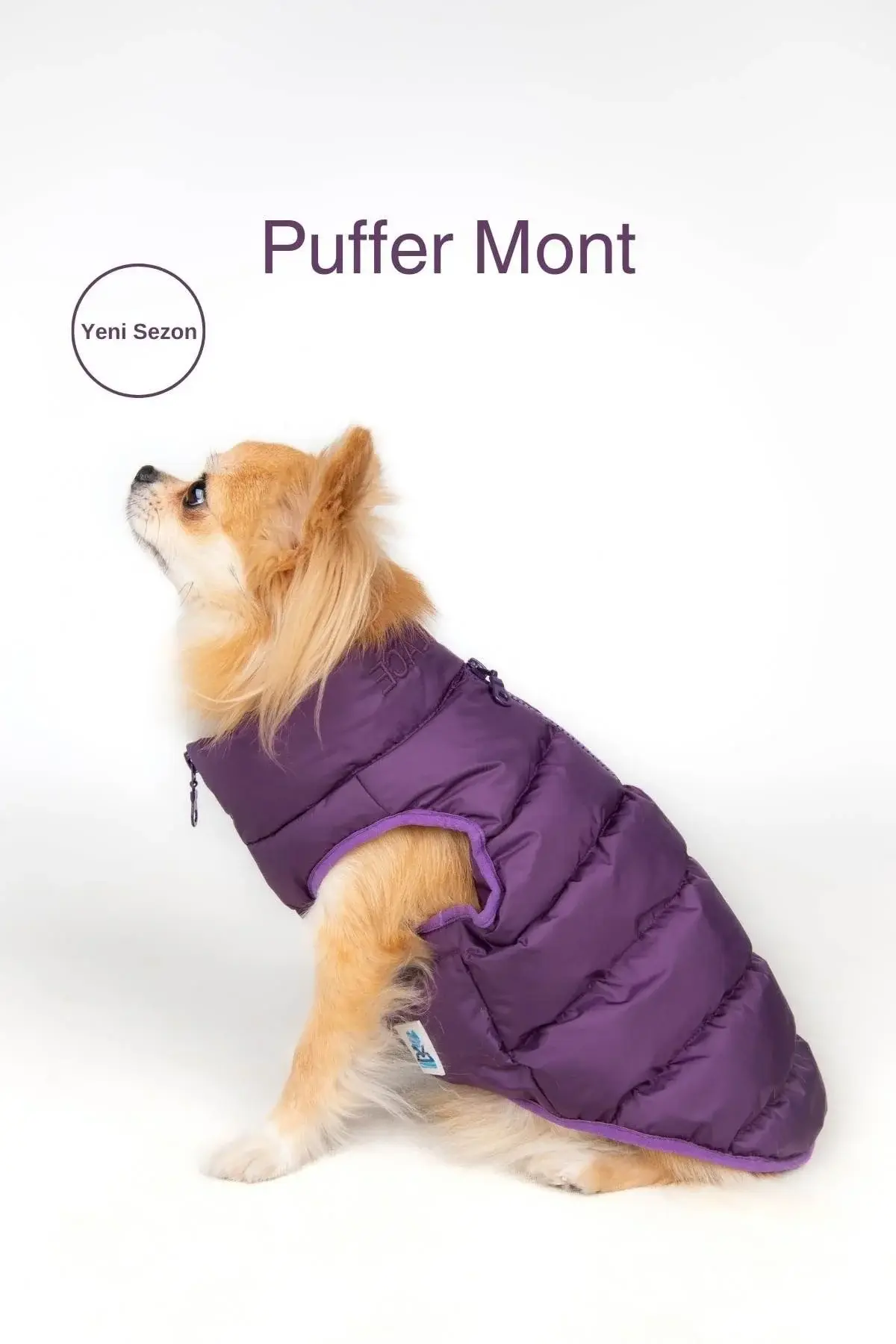 Salya Puffer su geçirmez köpek mont, Mor