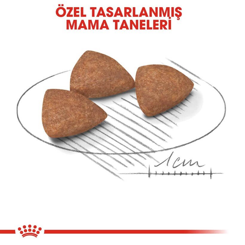 Royal Canin Mini İndoor Adult Yetişkin Köpek Maması 1.5 Kg