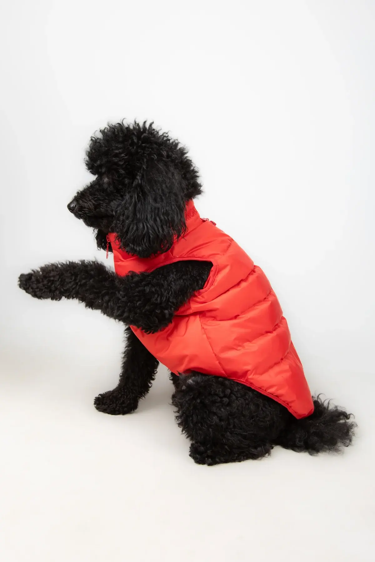 Salya Puffer su geçirmez köpek mont, Kırmızı