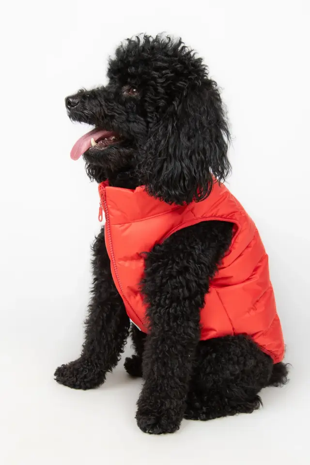 Salya Puffer su geçirmez köpek mont, Kırmızı