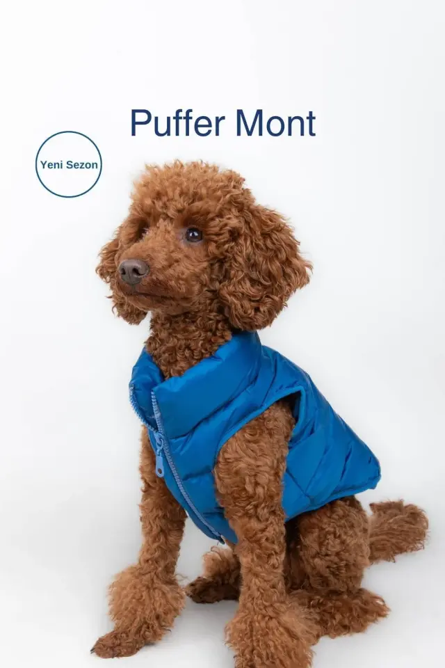 Salya Puffer su geçirmez köpek mont, Mavi
