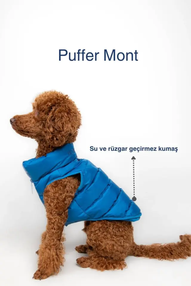 Salya Puffer su geçirmez köpek mont, Mavi