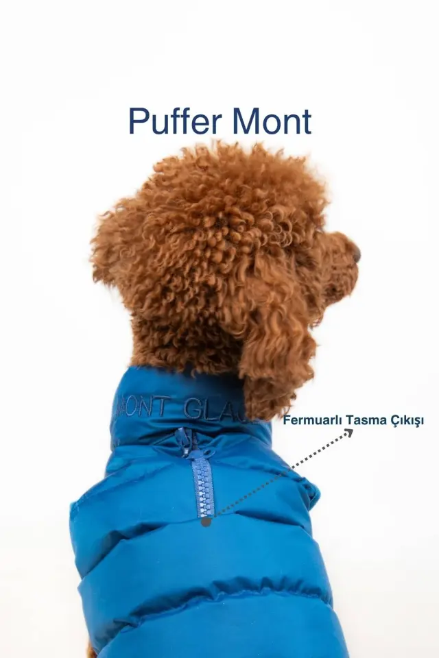 Salya Puffer su geçirmez köpek mont, Mavi