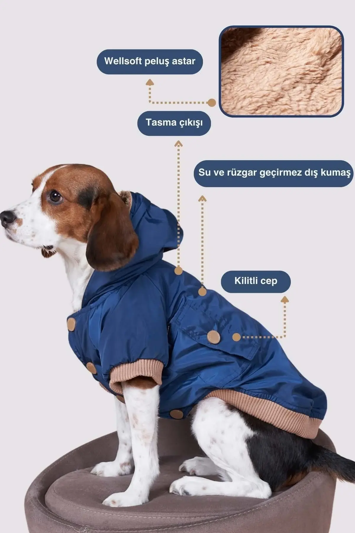 Salya Su geçirmez köpek montu, Köpek yağmurluğu Lacivert