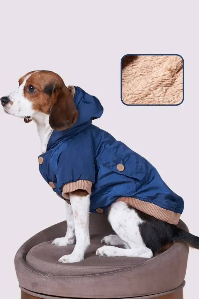 Salya Su geçirmez köpek montu, Köpek yağmurluğu Lacivert