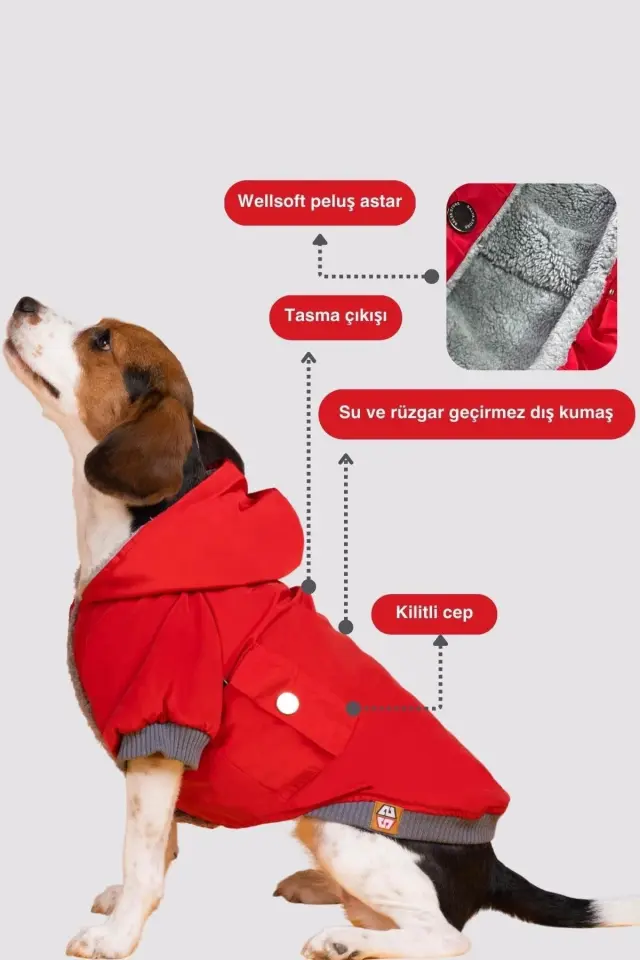 Salya Su Geçirmez Köpek Yağmurluğu, Küçük Irk Köpek Kıyafeti, Kırmızı