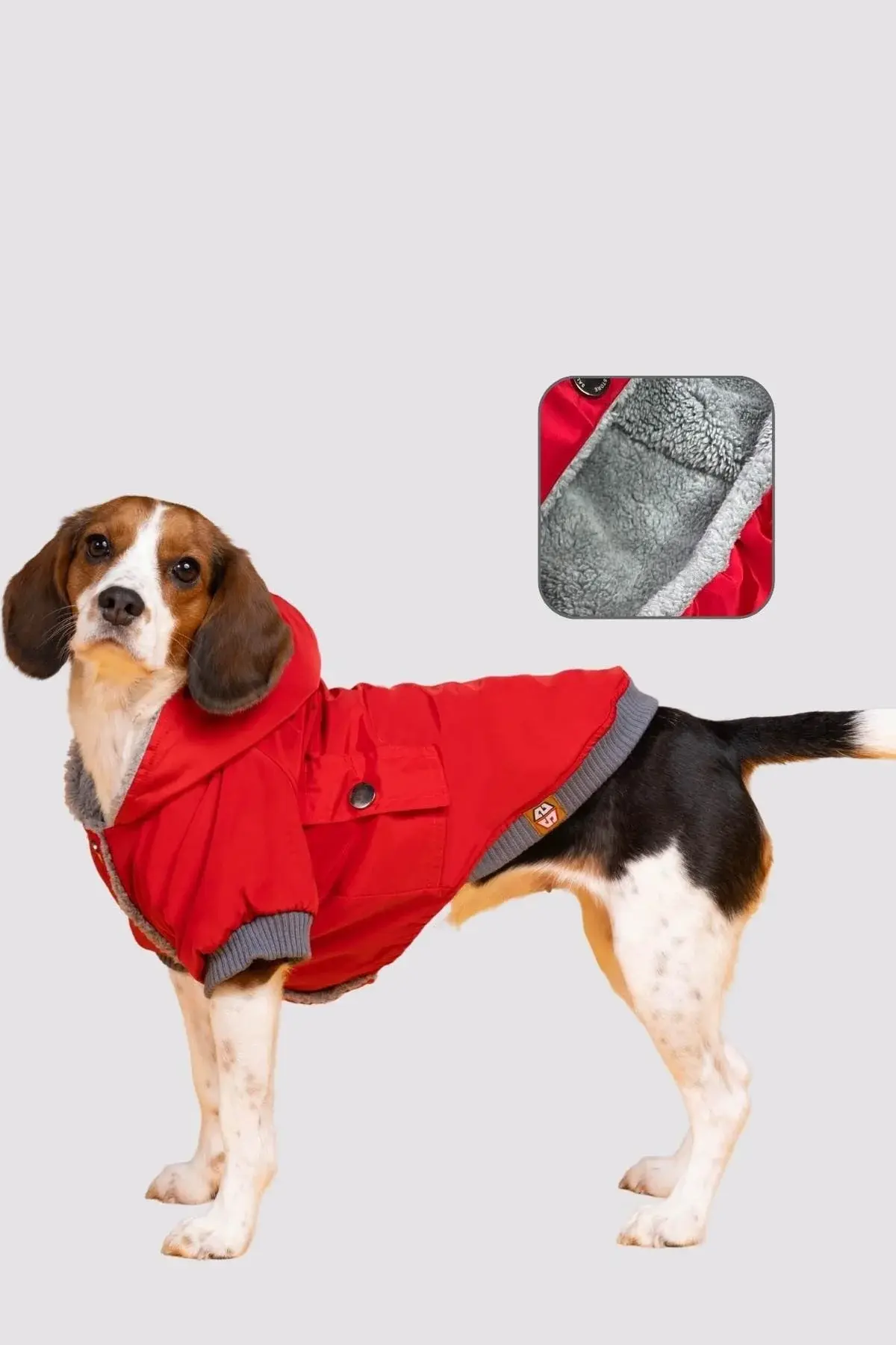 Salya Su Geçirmez Köpek Yağmurluğu, Küçük Irk Köpek Kıyafeti, Kırmızı