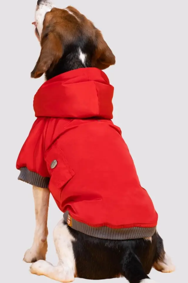 Salya Su Geçirmez Köpek Yağmurluğu, Küçük Irk Köpek Kıyafeti, Kırmızı