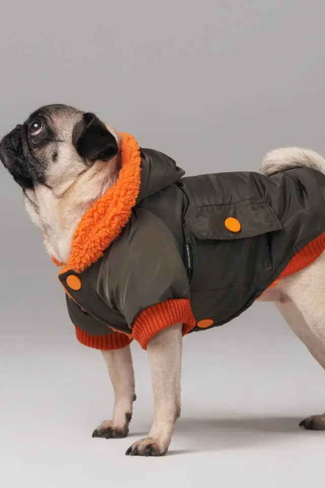 Salya Su geçirmez köpek montu, Köpek yağmurluğu Haki