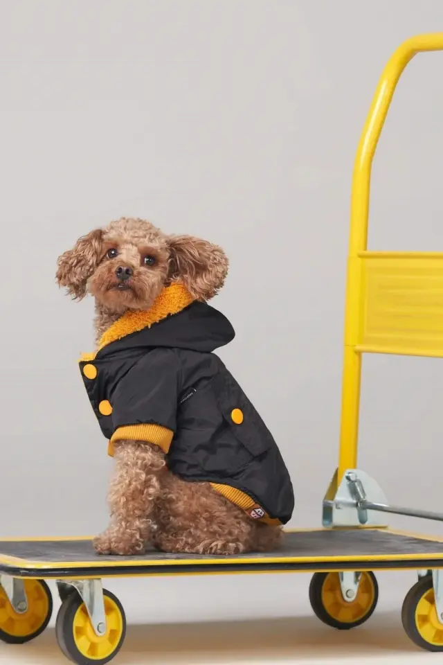 Salya Su geçirmez köpek montu, Köpek yağmurluğu Siyah