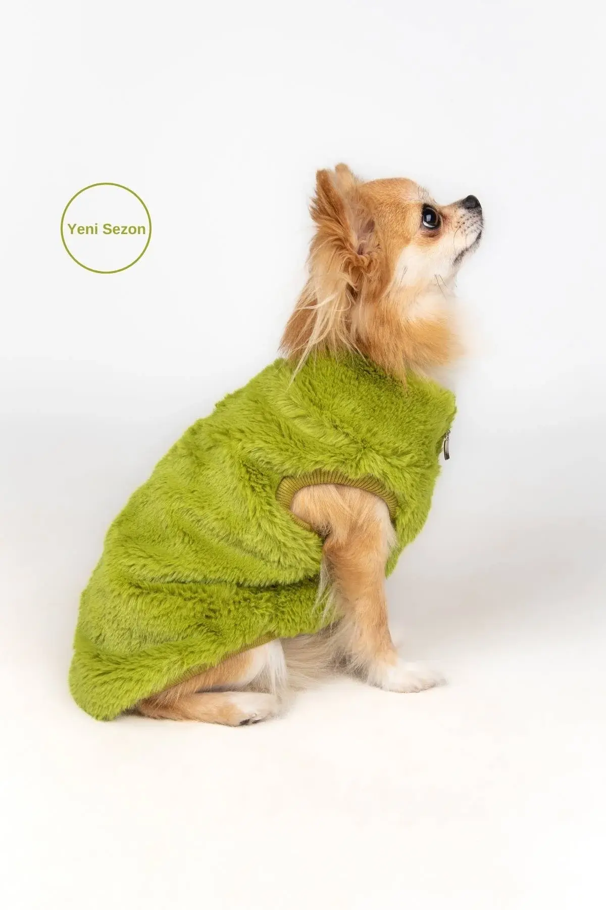 Salya Rabbit ultra soft peluş köpek kıyafeti, Yeşil