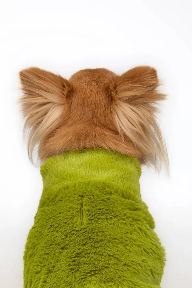 Salya Rabbit ultra soft peluş köpek kıyafeti, Yeşil