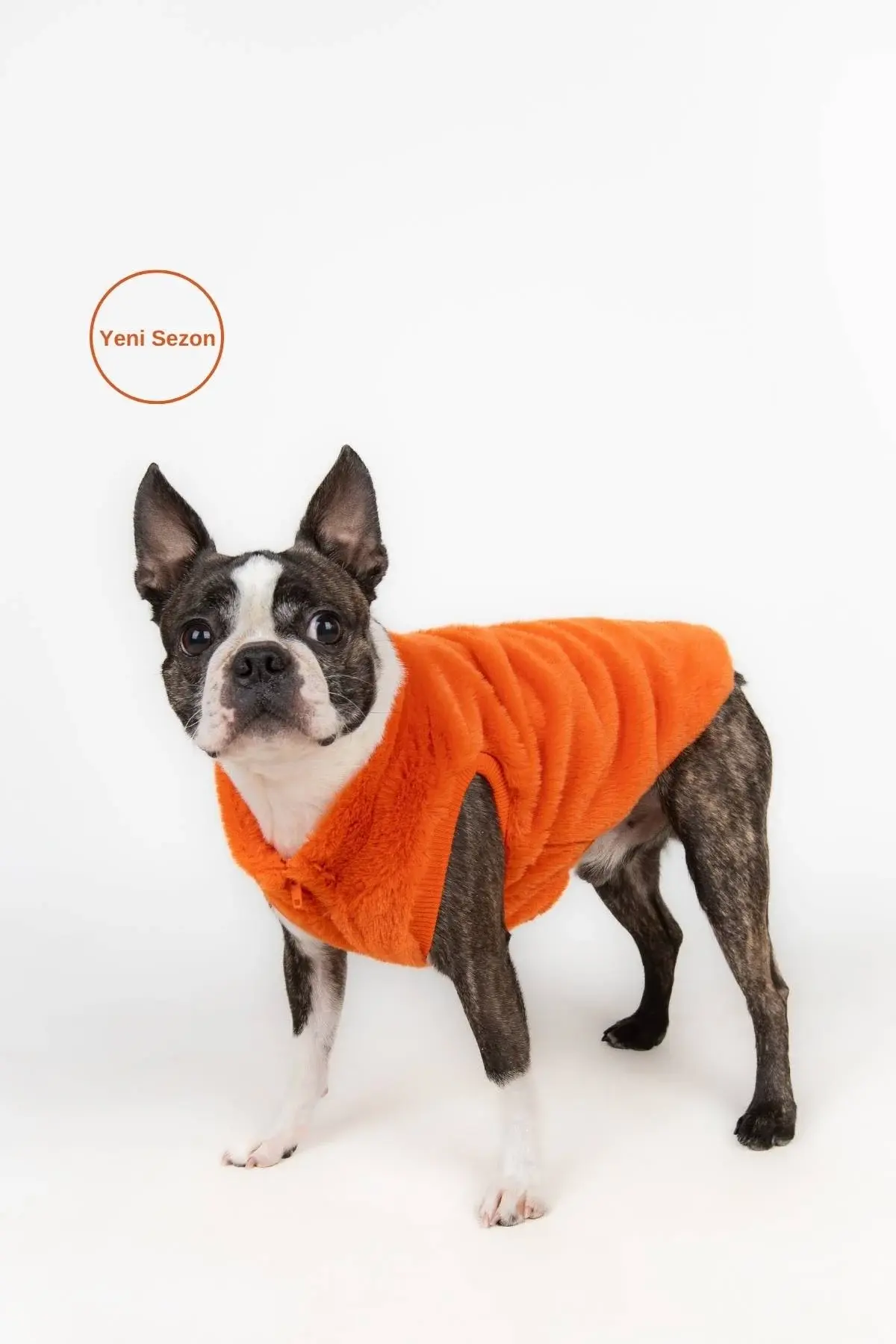 Salya Rabbit ultra soft peluş köpek kıyafeti, Turuncu