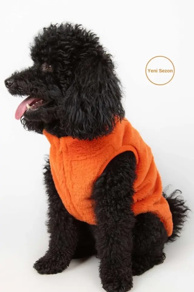 Salya Rabbit ultra soft peluş köpek kıyafeti, Turuncu