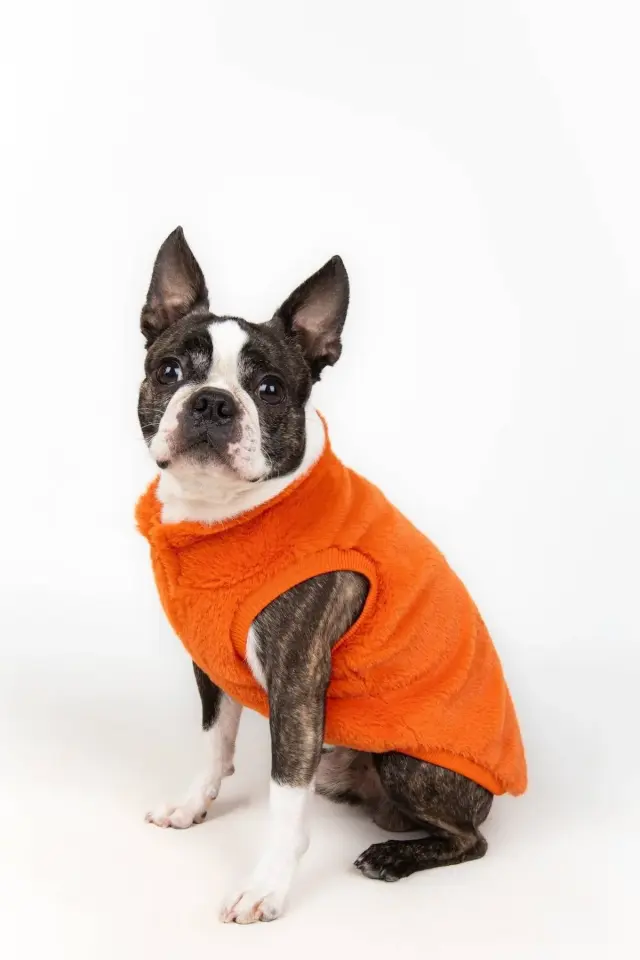 Salya Rabbit ultra soft peluş köpek kıyafeti, Turuncu