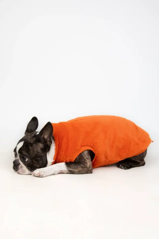 Salya Rabbit ultra soft peluş köpek kıyafeti, Turuncu
