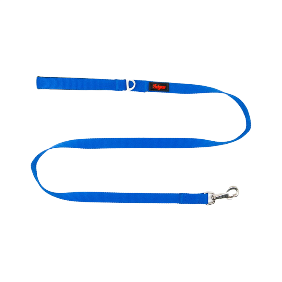 Luckypaw Saks Mavisi Köpek Gezdirme Kayışı (2 x 140 cm)