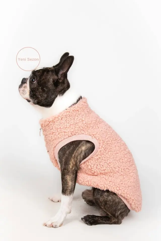 Salya Teddy peluş köpek kıyafeti, Pudra
