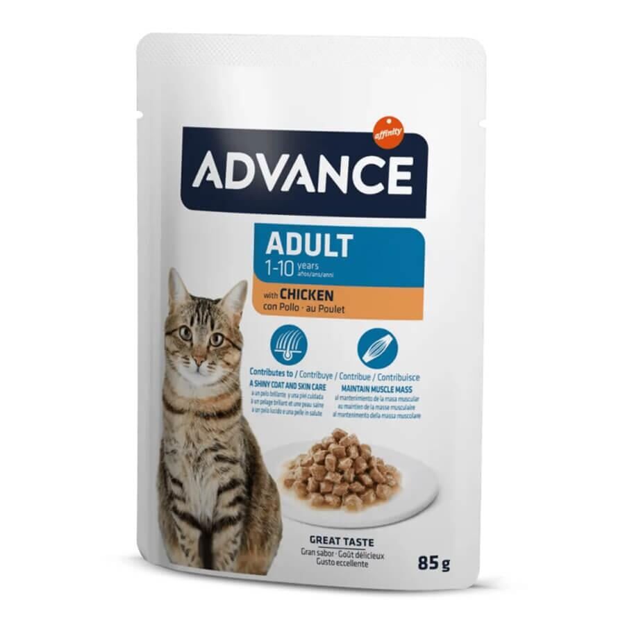 Advance Cat Adult Chicken Pouch Yaş Mama 85gr