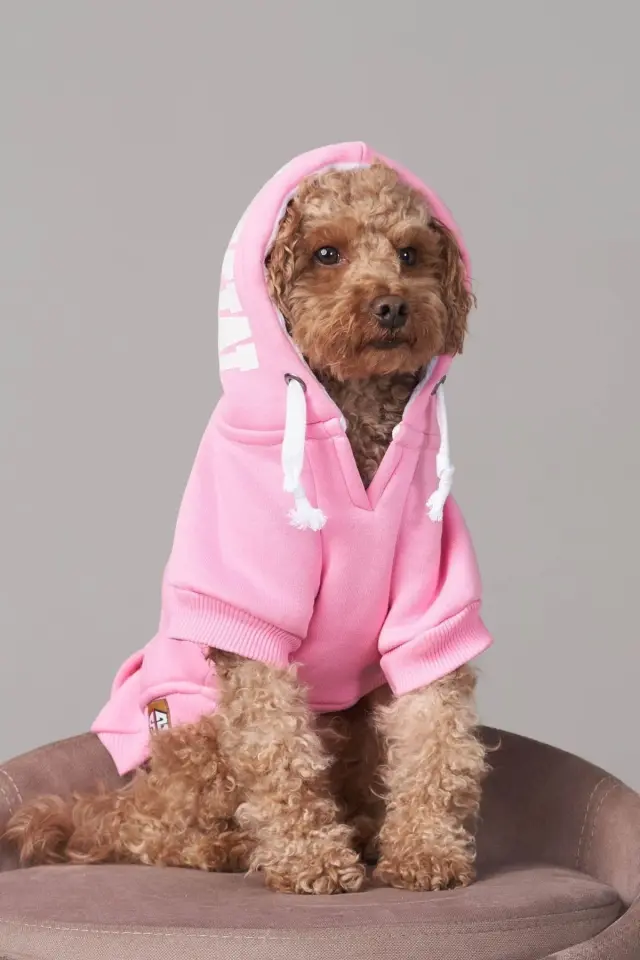 Salya Pembe kapüşonlu köpek kıyafeti, Magnet Pembe