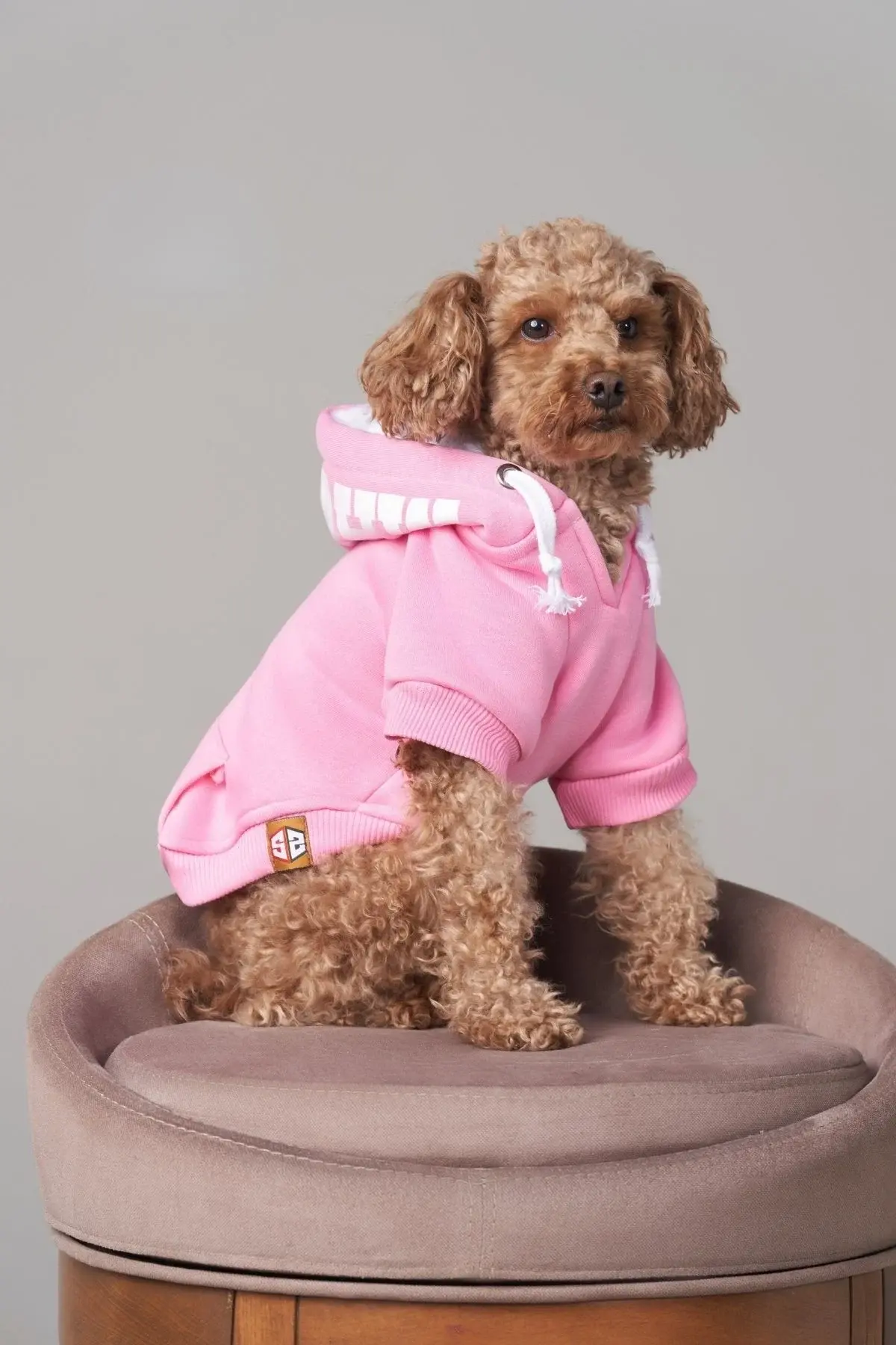 Salya Pembe kapüşonlu köpek kıyafeti, Magnet Pembe