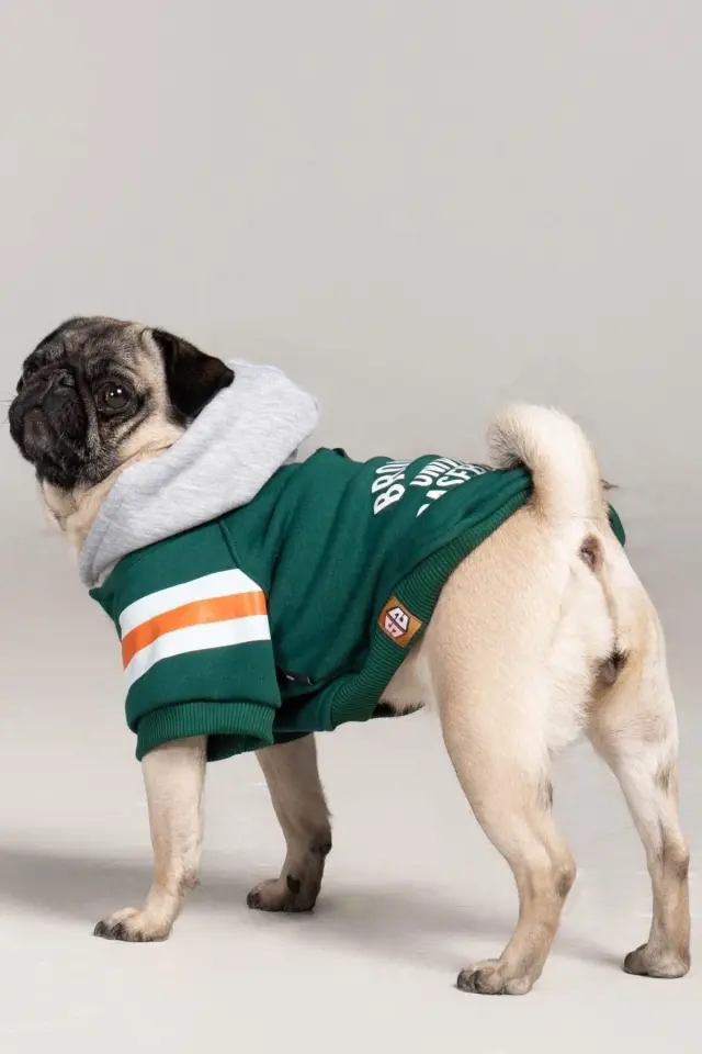 Salya Brooklyn nefti yeşili köpek kıyafeti