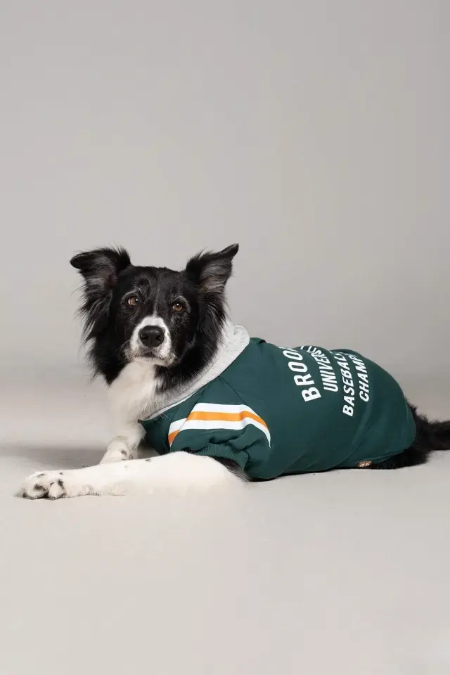 Salya Brooklyn nefti yeşili köpek kıyafeti