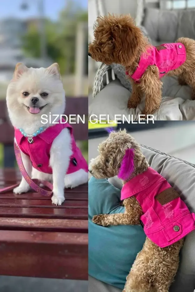 Salya Fuşya Renk Kot Köpek Yeleği - Küçük Irklar İçin Şık ve Rahat Yelek (0-15kg)