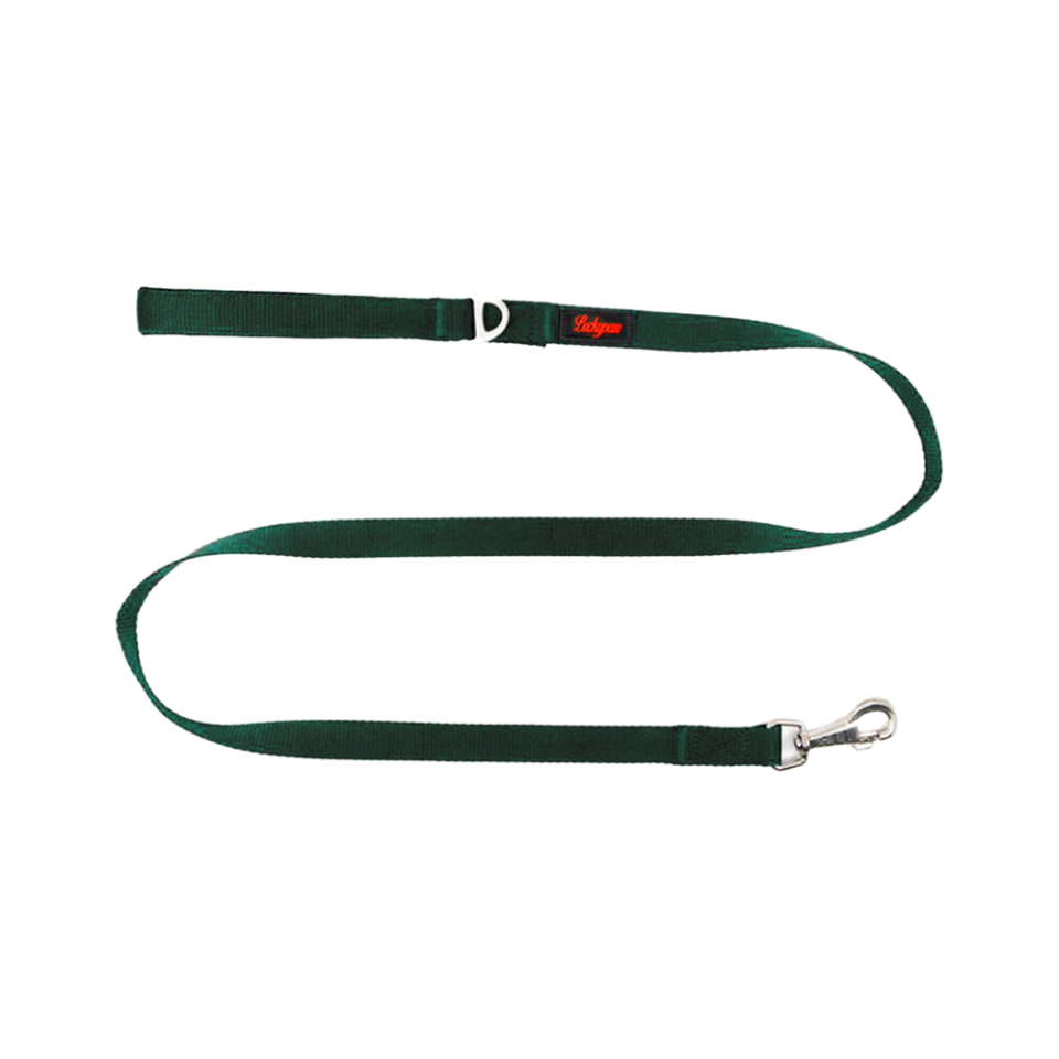 Luckypaw Koyu Yeşil Köpek Gezdirme Kayışı (2 x 140 cm)