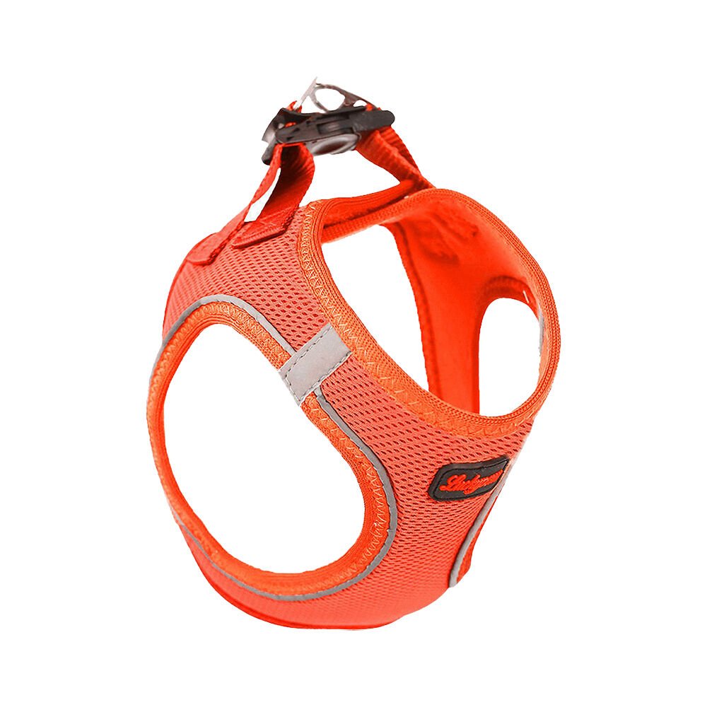 Luckypaw Small Neon Turuncu Air-Mesh Göğüs Tasması