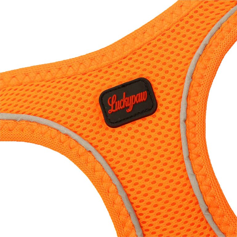 Luckypaw XLarge Neon Turuncu Air-Mesh Göğüs Tasması