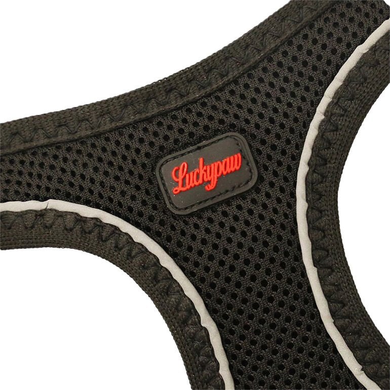 Luckypaw Large Siyah Air-Mesh Göğüs Tasması
