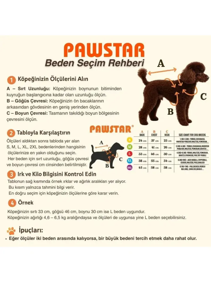 Pawstar Marine Sarı Polo Tshirt