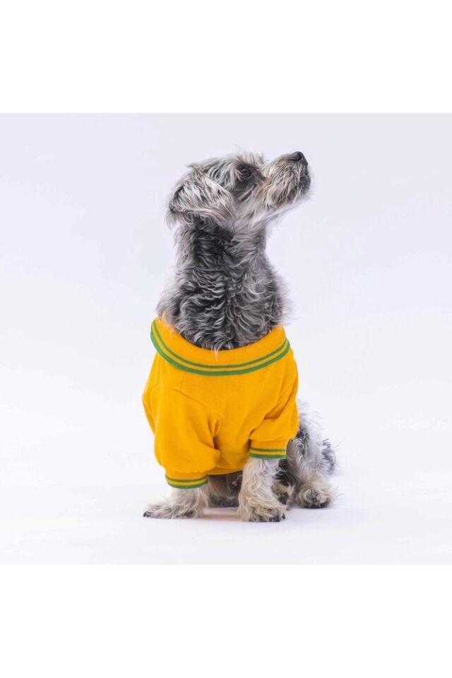 Pawstar Marine Sarı Polo Tshirt