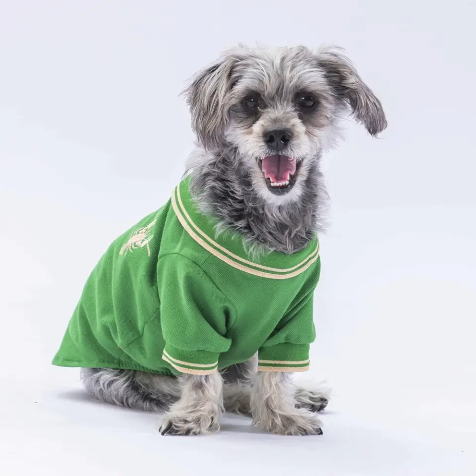 PawStar Green Marine Polo Shirt