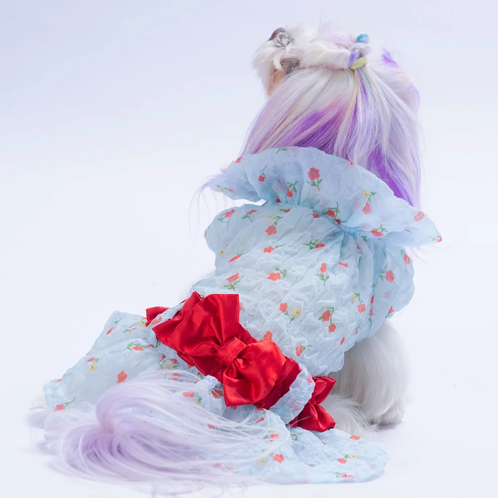 Pawstar Mavi Valencia Elbise