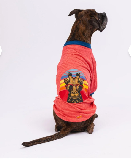 Pawstar Narçiçeği Giraffe Köpek Büyük Sweat