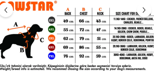 Pawstar Narçiçeği Giraffe Köpek Büyük Sweat