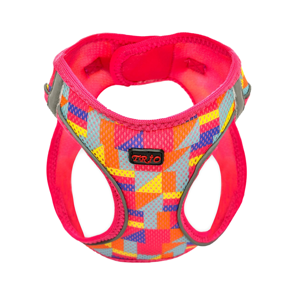 Luckypaw Air-Mesh Spirit Kedi ve Köpek Göğüs Tasması (L)