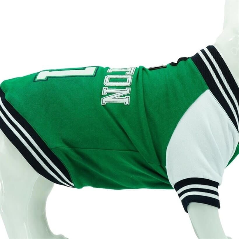 Lindo College BOSTON Köpek Sweatshirt