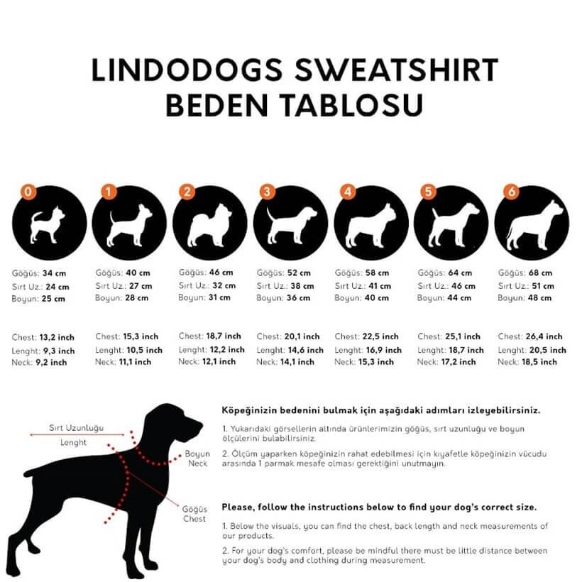 Lindo College BOSTON Köpek Sweatshirt