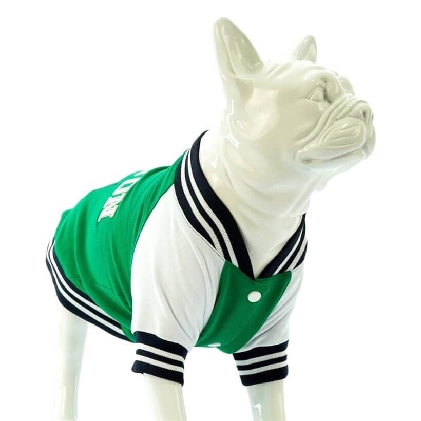 Lindo College BOSTON Köpek Sweatshirt