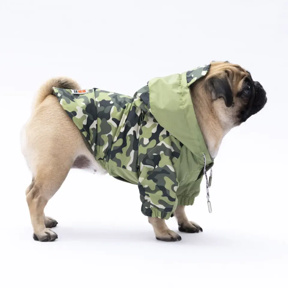 Pawstar Yeşil Dijon Köpek Mont Köpek Yağmurluk Köpek Kıyafeti Köpek Elbisesi