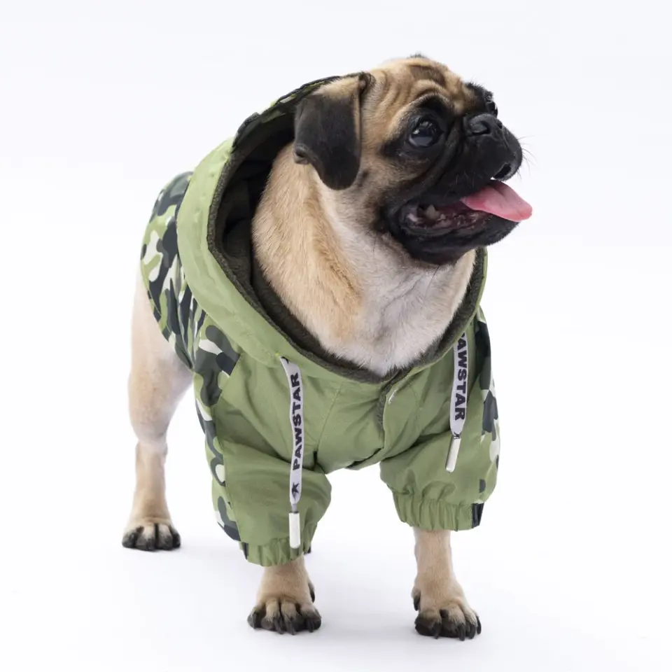 Pawstar Yeşil Dijon Köpek Mont Köpek Yağmurluk Köpek Kıyafeti Köpek Elbisesi