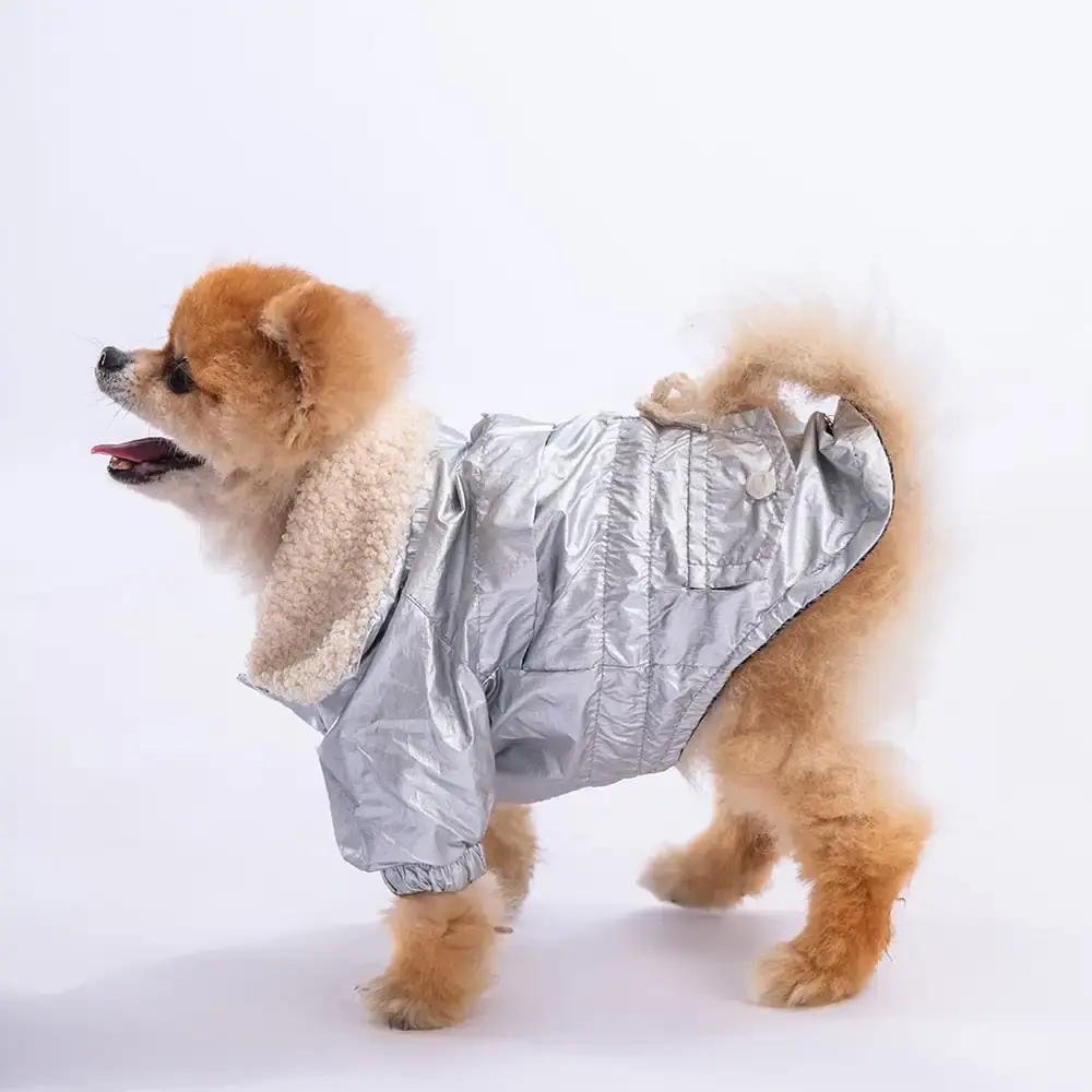 Pawstar Gümüş Brillante Yağmurluk